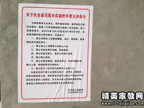 鄉(xiāng)公益性崗位的自查報告范文(鄉(xiāng)公益性崗位的自查報告)