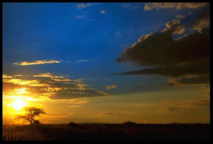 黃昏公園美景作文開頭