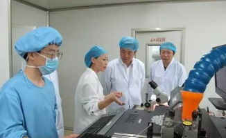 gmp整改報(bào)告范文(GMP認(rèn)證整改報(bào)告)