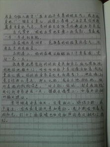 落葉也美麗記敘文800字作文開(kāi)頭怎么寫(xiě)