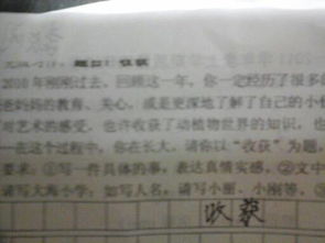 收獲作文600字四級(jí)作文開頭結(jié)尾