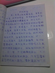 我的媽媽關(guān)心作文開(kāi)頭結(jié)尾