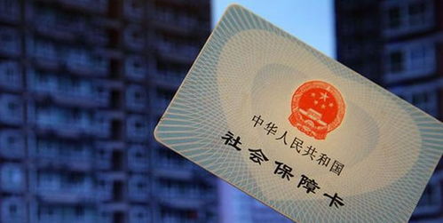 廣西社保相關報道(年廣西社保相關報道)