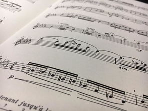 關于環(huán)境作文好開頭