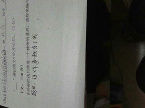 這件事真棒作文開頭