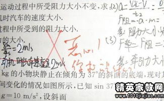 作文照應(yīng)開頭