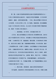 副職述職報告(副職轉(zhuǎn)正述職報告)