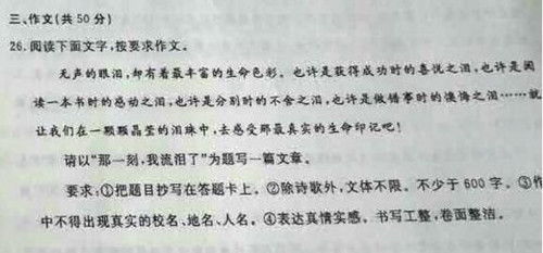 那一刻我懂了作文700字作文開頭
