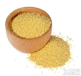 小米的營(yíng)養(yǎng)價(jià)值及功效(小米的功效與作用)