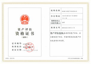 專利資產(chǎn)評(píng)估報(bào)告()