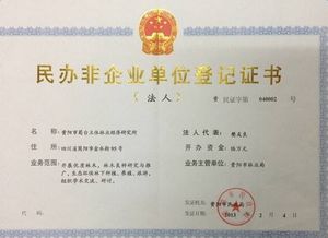 民辦非企業(yè)工作報(bào)告(民辦非企業(yè)單位年度工作報(bào)告)