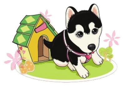 作文小狗伴我成長800字作文開頭