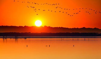 運動會作文開頭優(yōu)美句子,煩惱作文開頭優(yōu)美句子,端午節(jié)作文開頭優(yōu)美句子