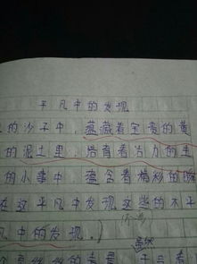 平凡的日子也什么作文600字作文開頭