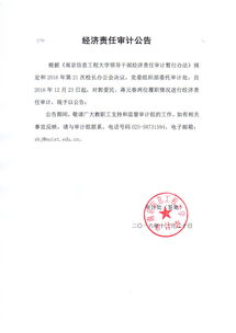 經(jīng)濟(jì)責(zé)任審計(jì)報(bào)告(任期經(jīng)濟(jì)責(zé)任審計(jì)報(bào)告)