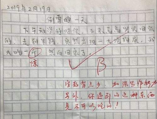 標(biāo)點(diǎn)符號(hào)的遐想作文開頭