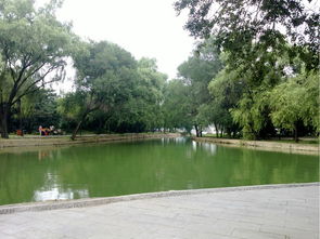 作文北陵公園游記開頭