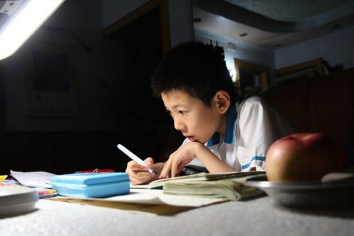 對父親的情感作文開頭