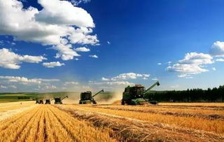 農(nóng)業(yè)工作的自查報(bào)告(關(guān)于農(nóng)業(yè)統(tǒng)計(jì)工作的自查報(bào)告)