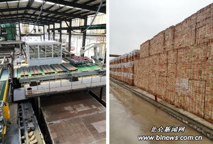 淺談建筑垃圾的處理問(wèn)題(淺談河北省城市垃圾處理問(wèn)題)