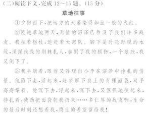 景物描寫開頭的初中作文