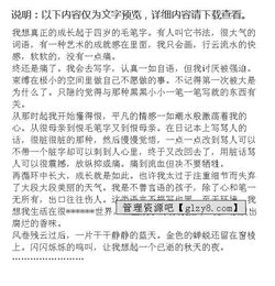 鼓勵(lì)讓我成長(zhǎng)作文600字作文開頭