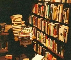 周末作文開頭初三作文