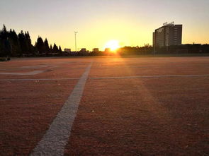 太陽(yáng)升起作文的開(kāi)頭