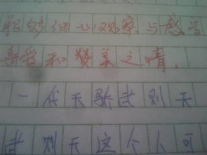 武則天的作文開(kāi)頭