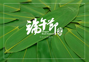 快樂的端午節(jié)作文怎么寫,快樂的端午節(jié)作文400字,快樂的端午節(jié)作文300字