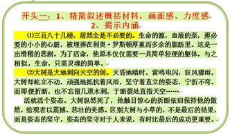 作文關(guān)于有趣的語(yǔ)文課作文開(kāi)頭