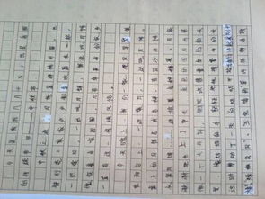 節(jié)日樂事作文開頭