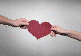 關(guān)于獻愛心的作文獻愛心(關(guān)于獻愛心的作文獻愛心)