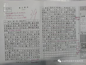 那一刻我流淚了作文的開頭怎么寫
