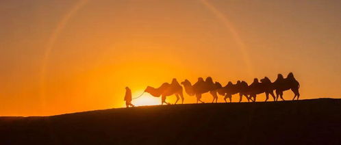 作文開頭環(huán)境描寫唯美