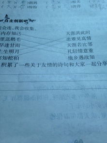 友誼詩句開頭作文