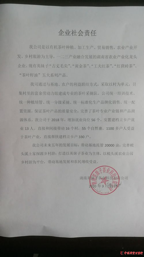 個人社會責任報告書(個人社會責任報告)