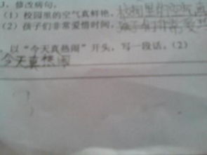 以今天公園真熱鬧啊開頭作文