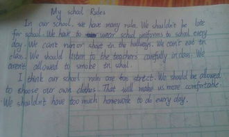 七級作文1000字優(yōu)秀開頭