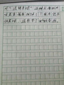 美食作文開頭400