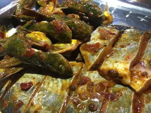 寫煮魚作文的開頭