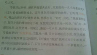 作文,來之不易,開頭,收獲