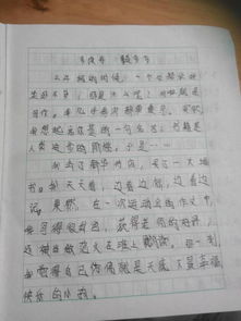 校園里的啟示作文600字作文開頭
