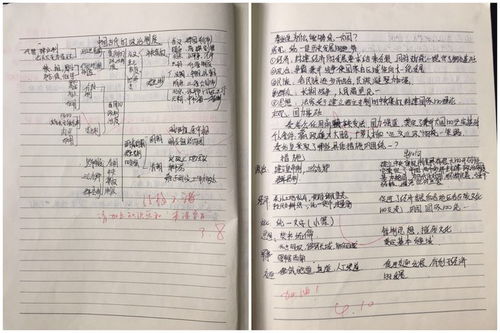 帶教老師的評語(帶教老師評語)