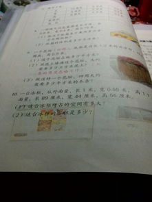 母愛的作文優(yōu)美開頭