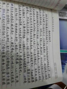 在日子里作文開頭