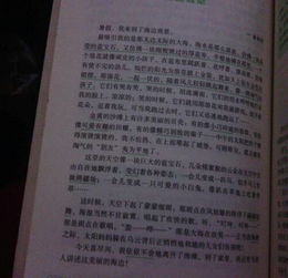 開頭夏天景物描寫作文800字