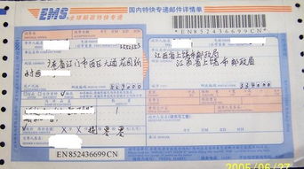 如今才知道的作文開頭