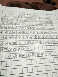 活動(dòng)作文開頭50字