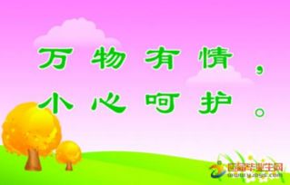愛護(hù)林木標(biāo)語(林木管護(hù)宣傳標(biāo)語)